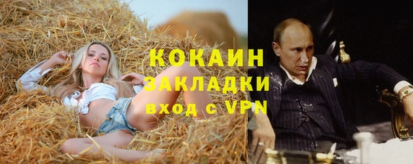 винт Алексин